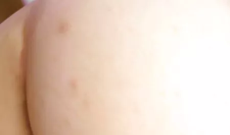 레즈비언,항문,섹시한중년여성,의존도 아름다운 벌 거 벗은 병아리