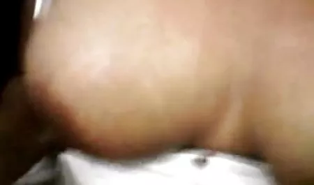 애완 동물 아름다운전 비참 카메라 당나귀처럼